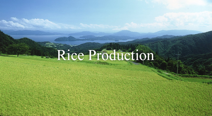 Rice Production