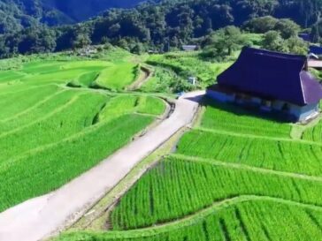 MBS毎日放送『京都知新』
