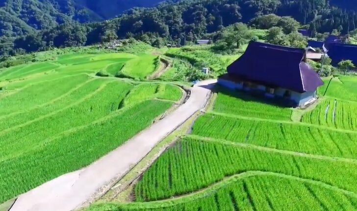 MBS毎日放送『京都知新』
