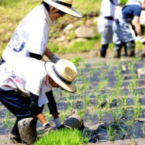 田植え体験会参加者の皆さま