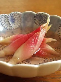 「すし酢でらっきょう」活用レシピ